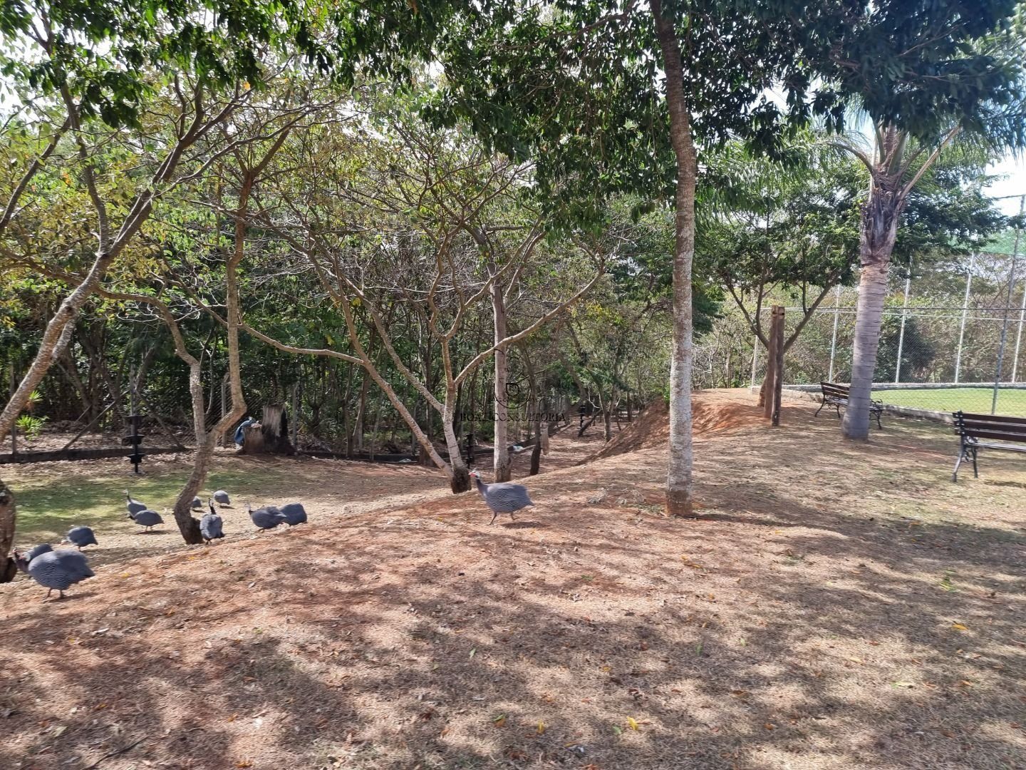 Casa em Aparecidinha, Sorocaba - Foto 4