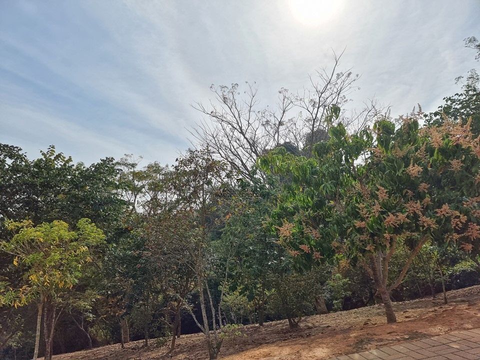 Casa em Jardim Wanel Ville V, Sorocaba - Foto 38