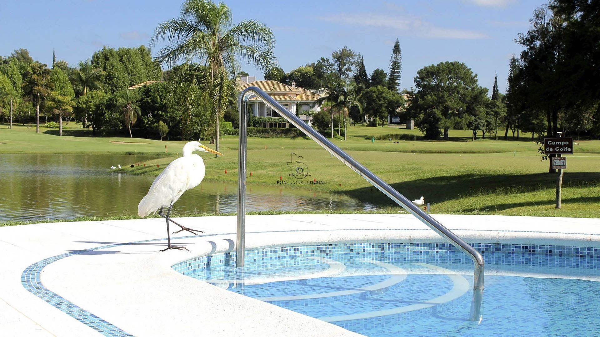 Condomínio em Lago Azul, Araçoiaba da Serra - Foto 13