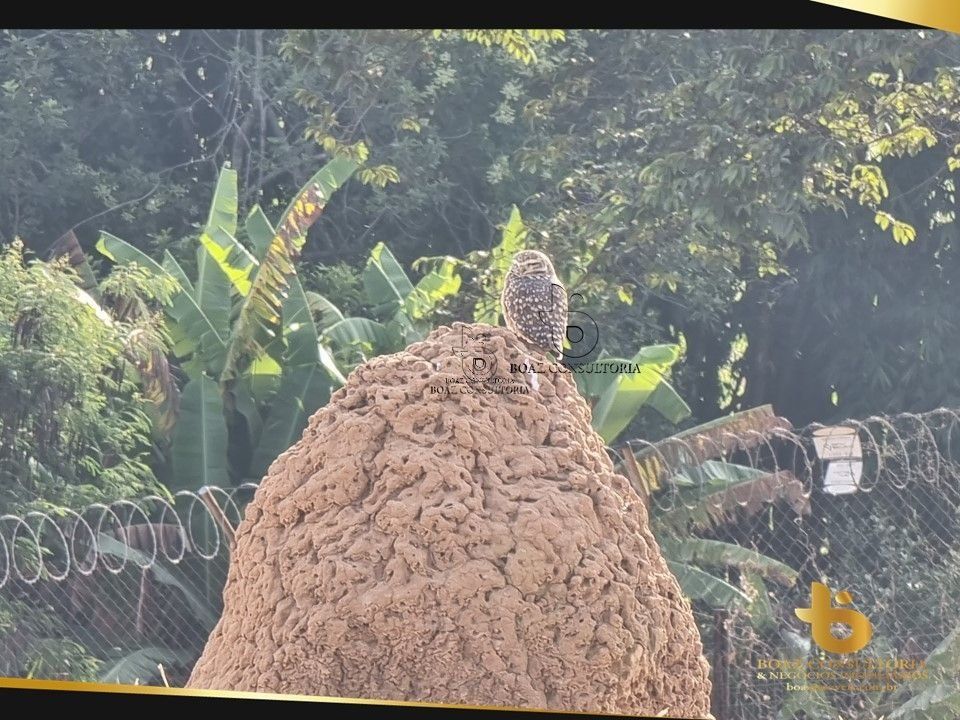 Terreno em Jardim Novo Mundo, Sorocaba - Foto 17