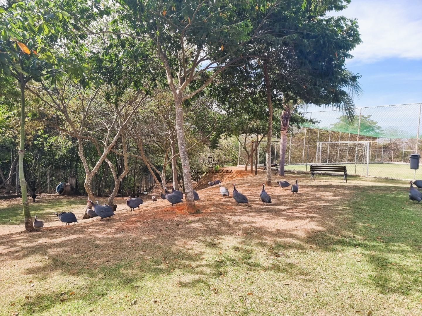 Casa em Aparecidinha, Sorocaba - Foto 2
