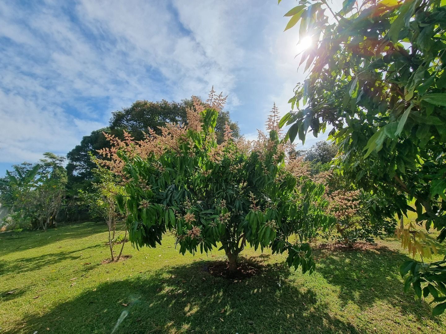 Casa em Jardim do Paço, Sorocaba - Foto 15