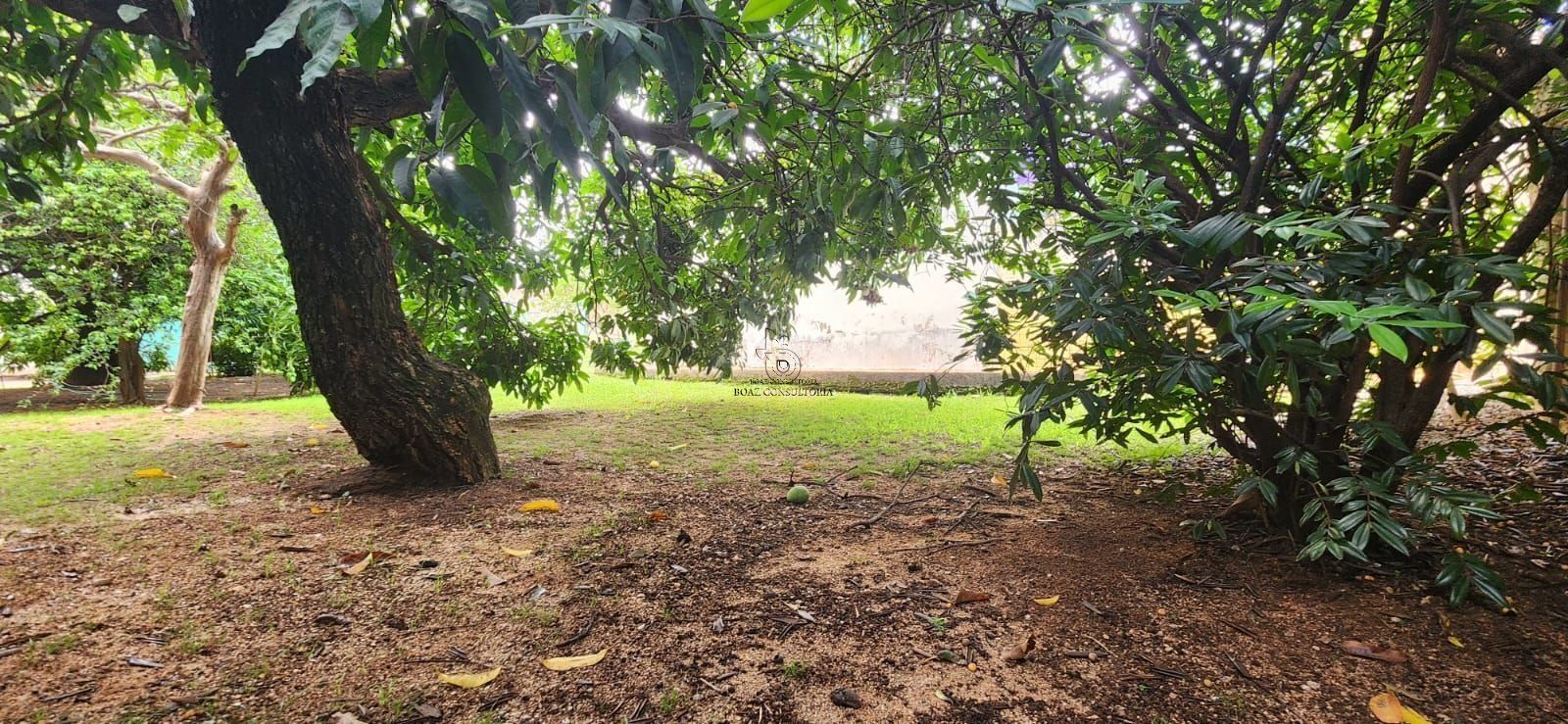 Terreno em Jardim Paulistano, Sorocaba - Foto 5