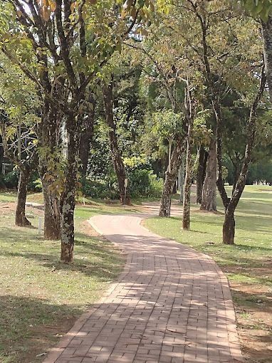 Terreno no Centro, Araçoiaba da Serra - Foto 8