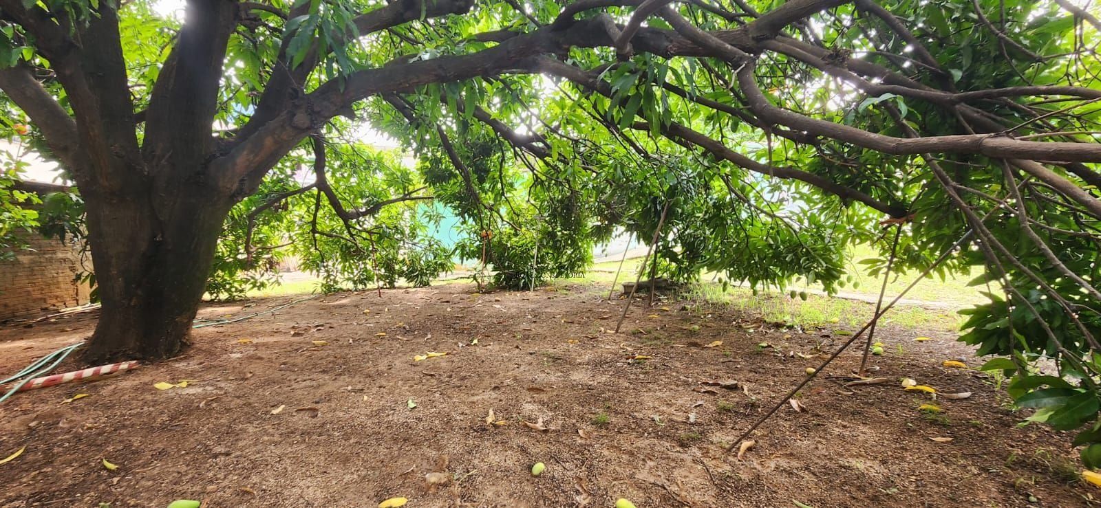 Terreno em Jardim Paulistano, Sorocaba - Foto 16