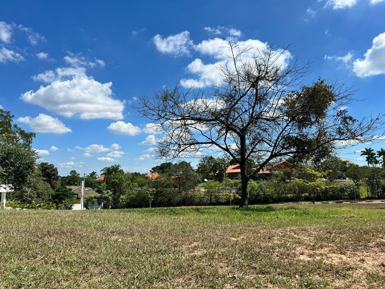 Terreno, 2264 m² - Foto 4