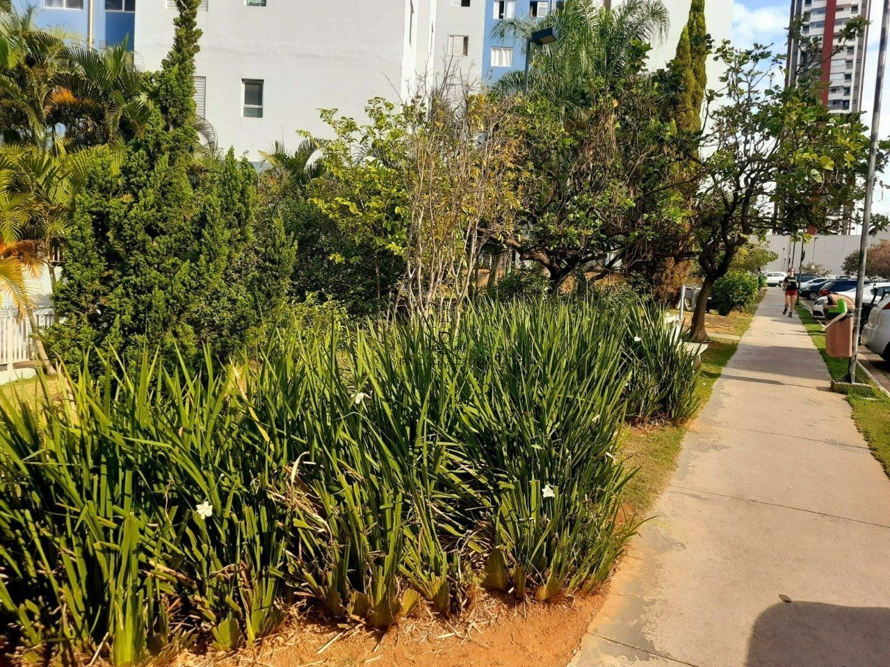 Apartamento em Parque Campolim, Sorocaba - Foto 24