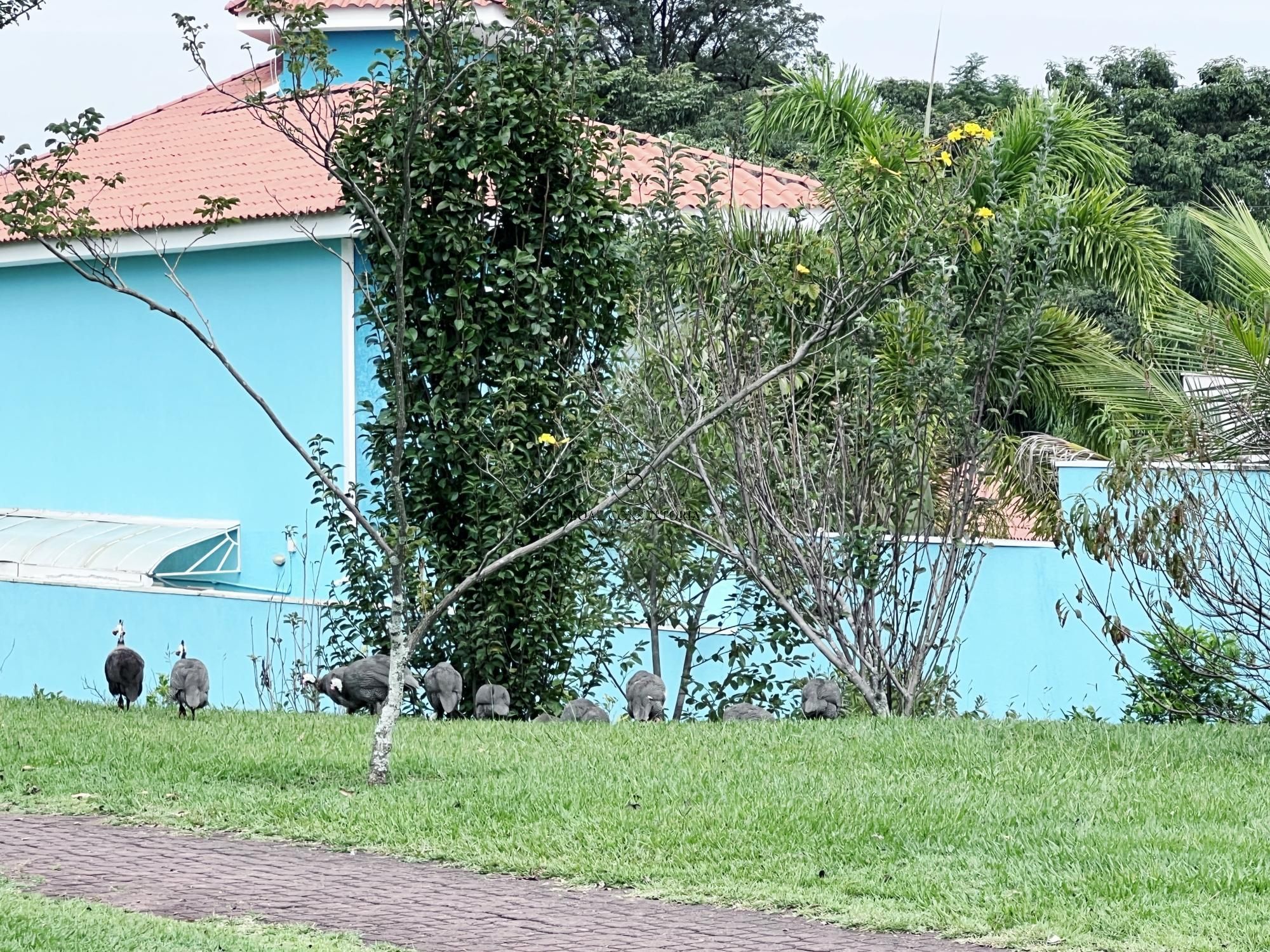 Casa de Condomínio, 3 quartos - Foto 25