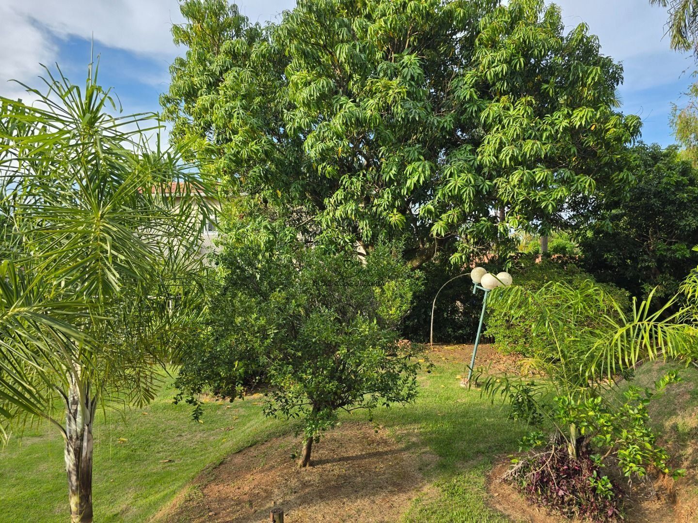 Casa, 4 quartos, 424 m² - Foto 19