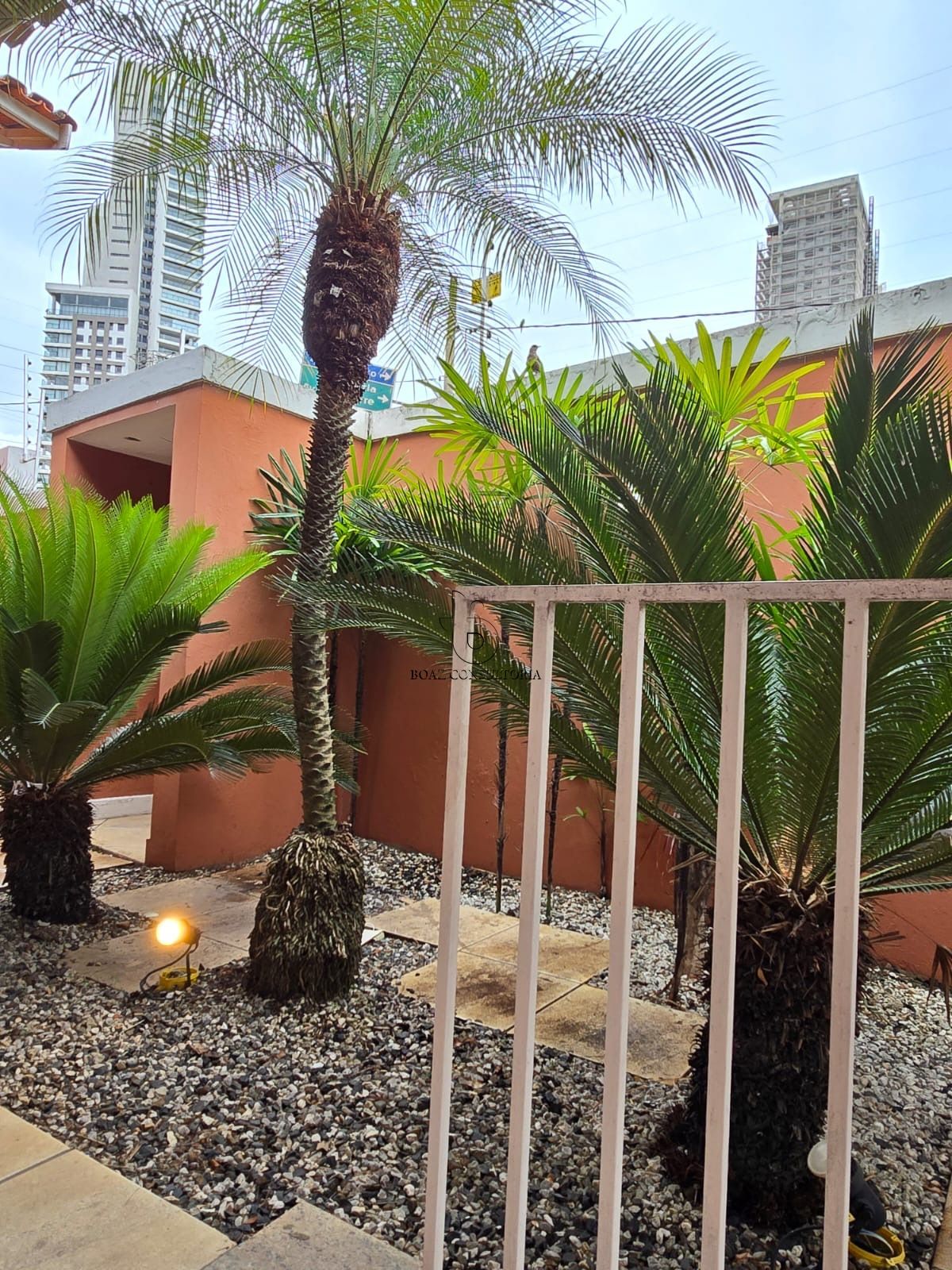 Prédio Inteiro, 325 m² - Foto 23