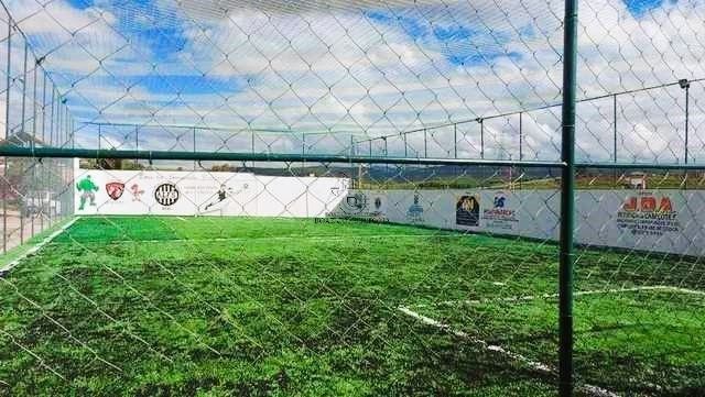 Sítio, 2 quartos, 1500 m² - Foto 8