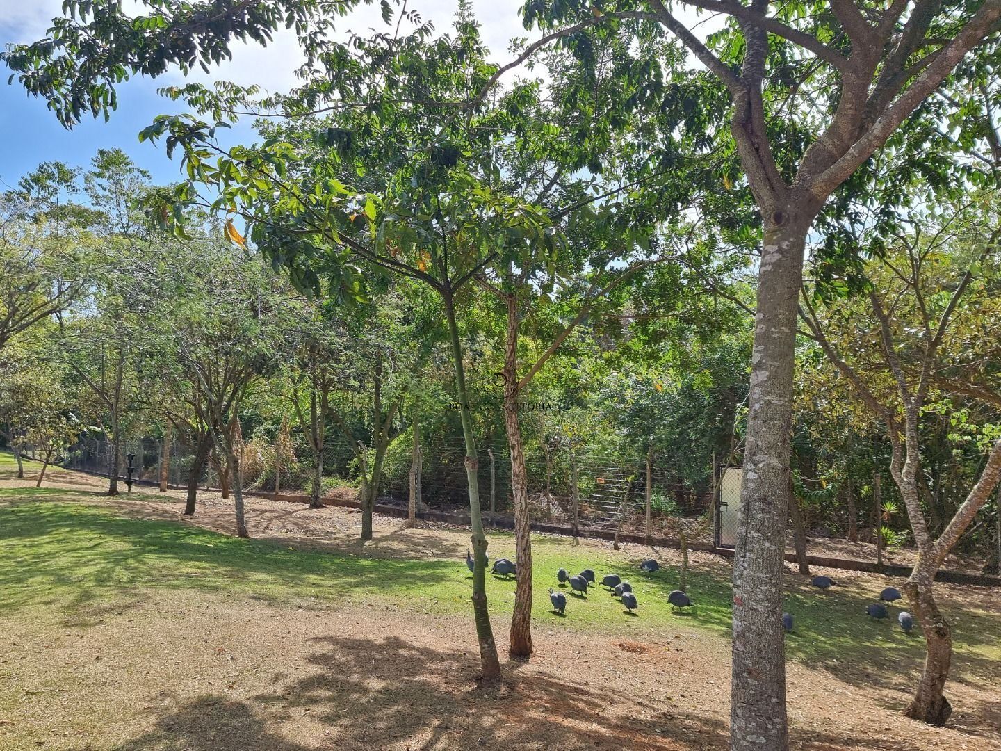 Casa em Aparecidinha, Sorocaba - Foto 8