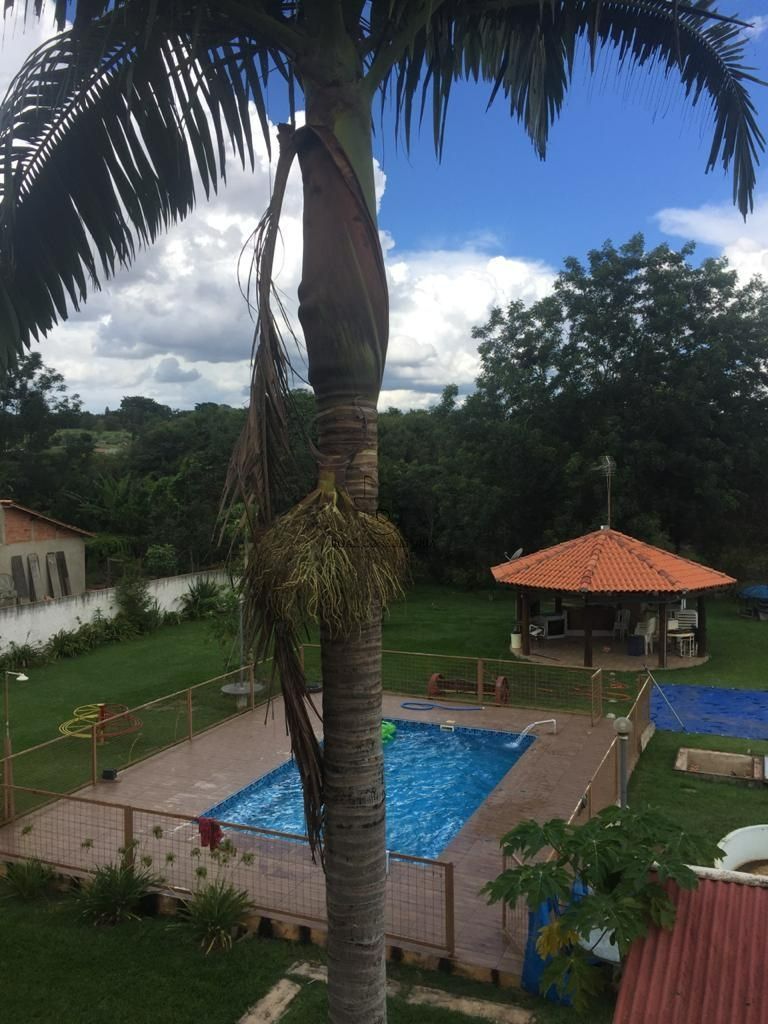 Chácara, 4 quartos, 5000 m² - Foto 4