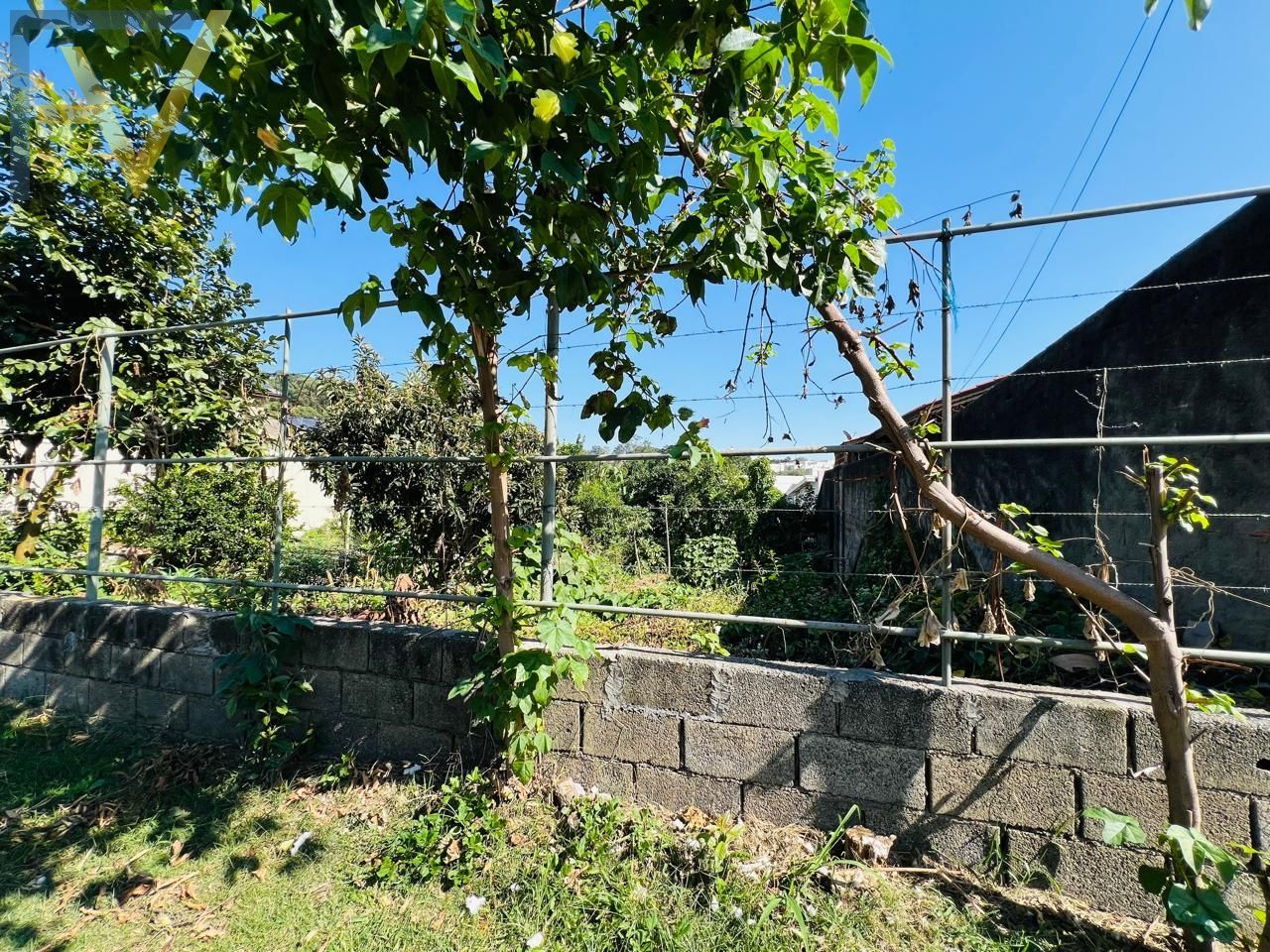 Terreno, 390 m² - Foto 3