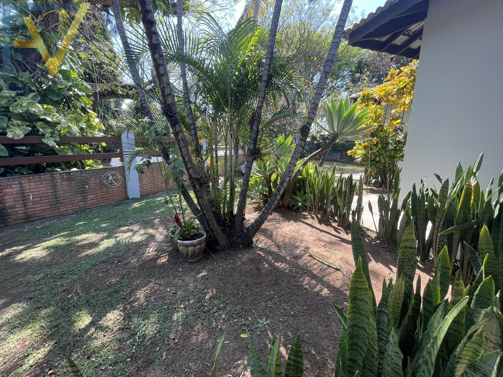 Casa, 4 quartos, 330 m² - Foto 4