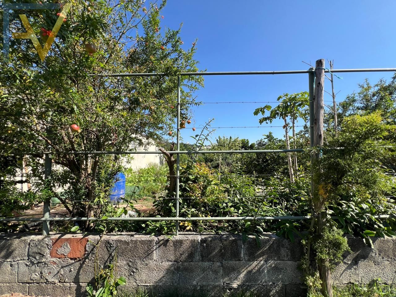 Terreno, 395 m² - Foto 3