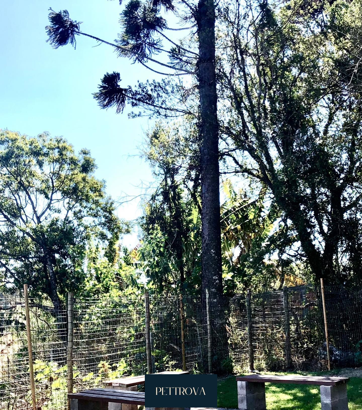 Sobrado residencial parque alvorada