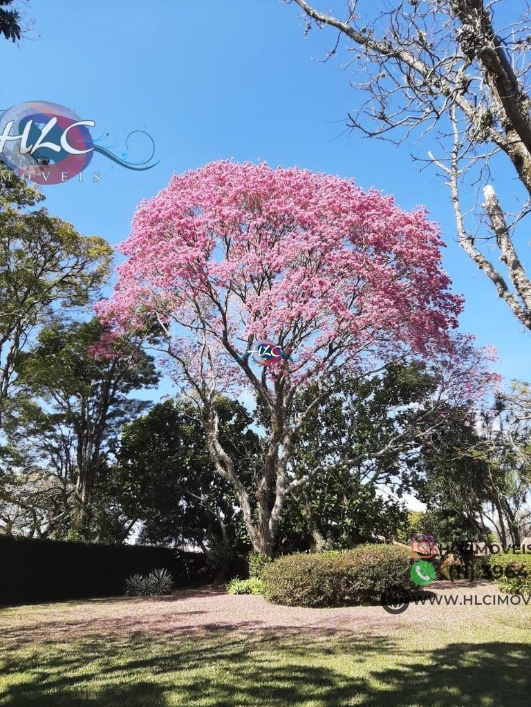 Terreno, 5000 m² - Foto 12