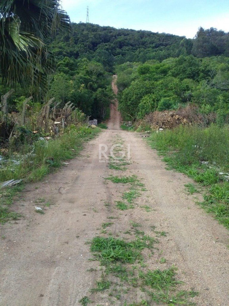 Area para Venda - 40000m², 0 dormitórios, Vila Nova — foto 17