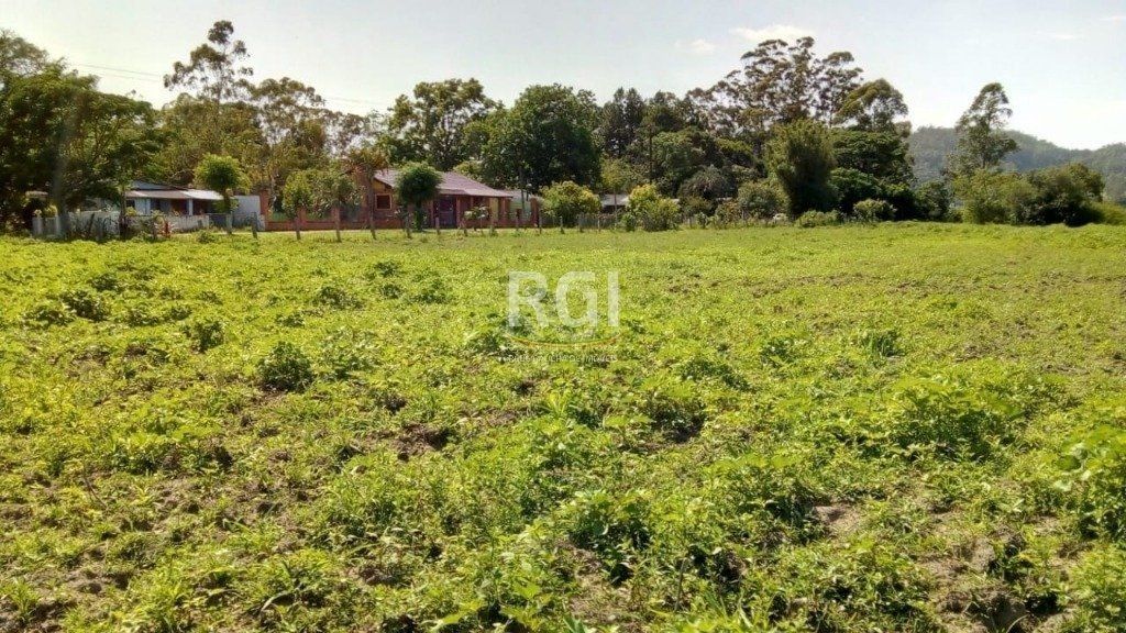 Sítio para Venda - 20060m² Zona Sul Lami — foto 6