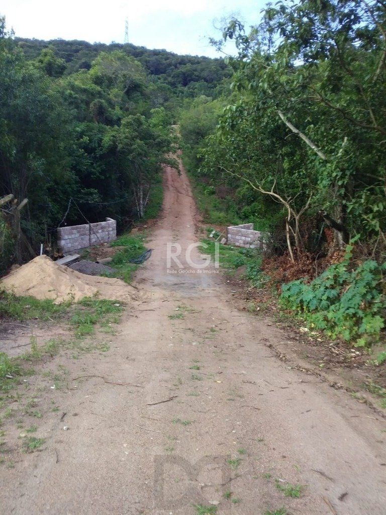 Area para Venda - 40000m², 0 dormitórios, Vila Nova — foto 6