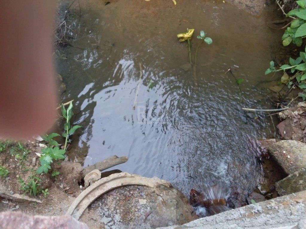 — foto 10