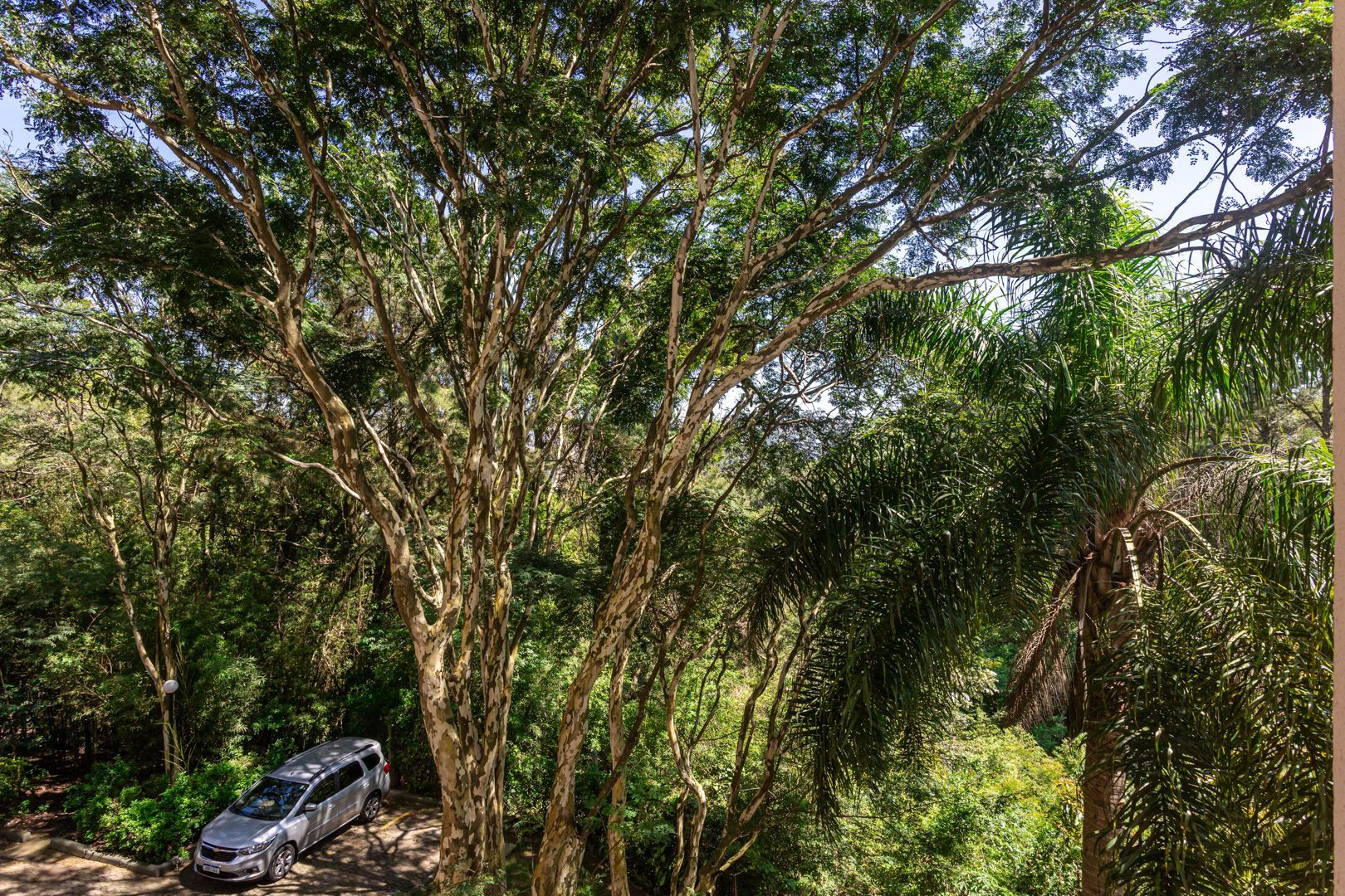 Apartamento no Condomínio Bosque do Sol no bairro Nonoai de 3 dormitórios 1 vaga e infra — foto 21