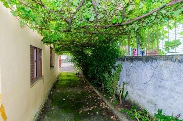 Casa / Terreno com 3 casas de alvenaria no bairro Morro Santana — foto 29