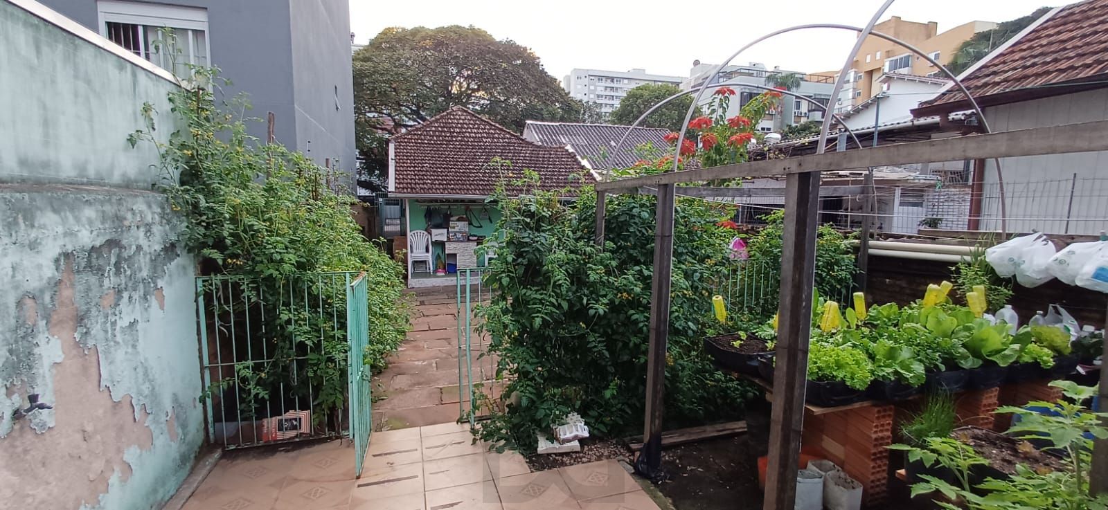 Vende-se casa de madeira, com dois dormitórios, banheiro, sala e cozinha. Localização privilegiada no bairro Jardim Botânico. Área do terreno com 6,6mx44m. — foto 5