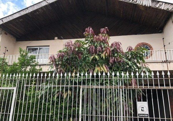 CASA SOBRADO NO CRISTO REDENTOR DE 5 DORMITÓRIOS E 3 VAGAS — foto 28
