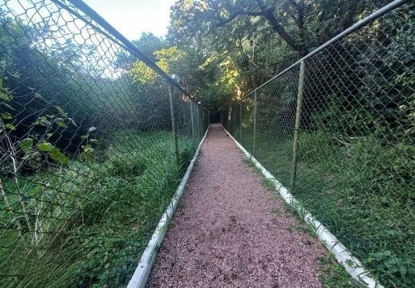 Apartamento no Reserva Ipanema de 3 dormitórios vaga e infra — foto 34