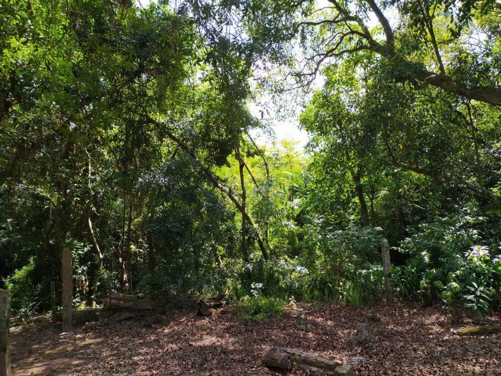 Area para Venda - 0m², 0 dormitórios, Belém Velho — foto 11