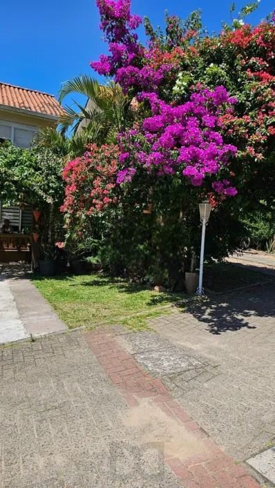 — foto 4
