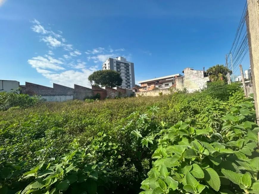 3a Perimetral - ÁREA/ÀTERRENO VENDA/ALUGUEL – AV. DOM PEDRO II | PORTO ALEGRE RS — foto 5