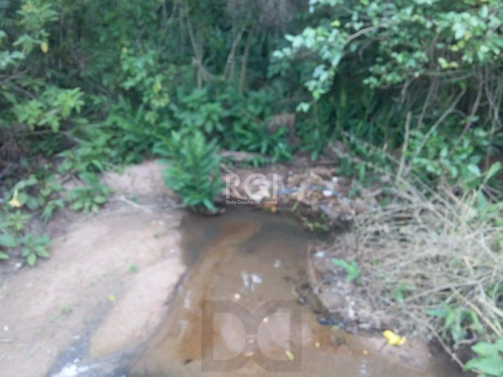 Area para Venda - 40000m², 0 dormitórios, Vila Nova — foto 9