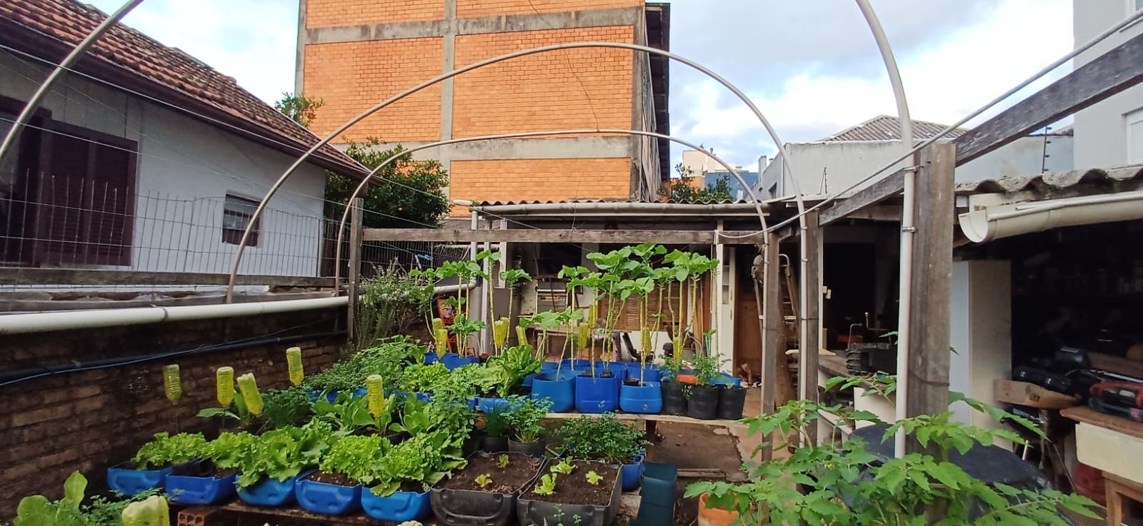 Vende-se casa de madeira, com dois dormitórios, banheiro, sala e cozinha. Localização privilegiada no bairro Jardim Botânico. Área do terreno com 6,6mx44m. — foto 4