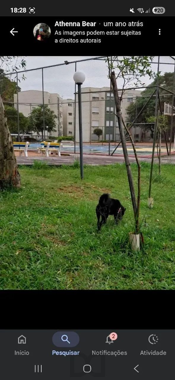 — foto 19
