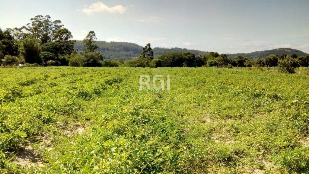 Sítio para Venda - 20060m² Zona Sul Lami — foto 2