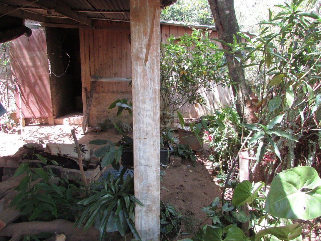 — foto 2