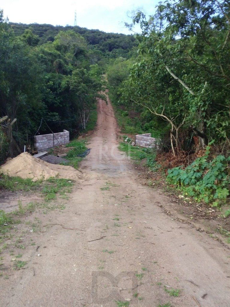 — foto 4