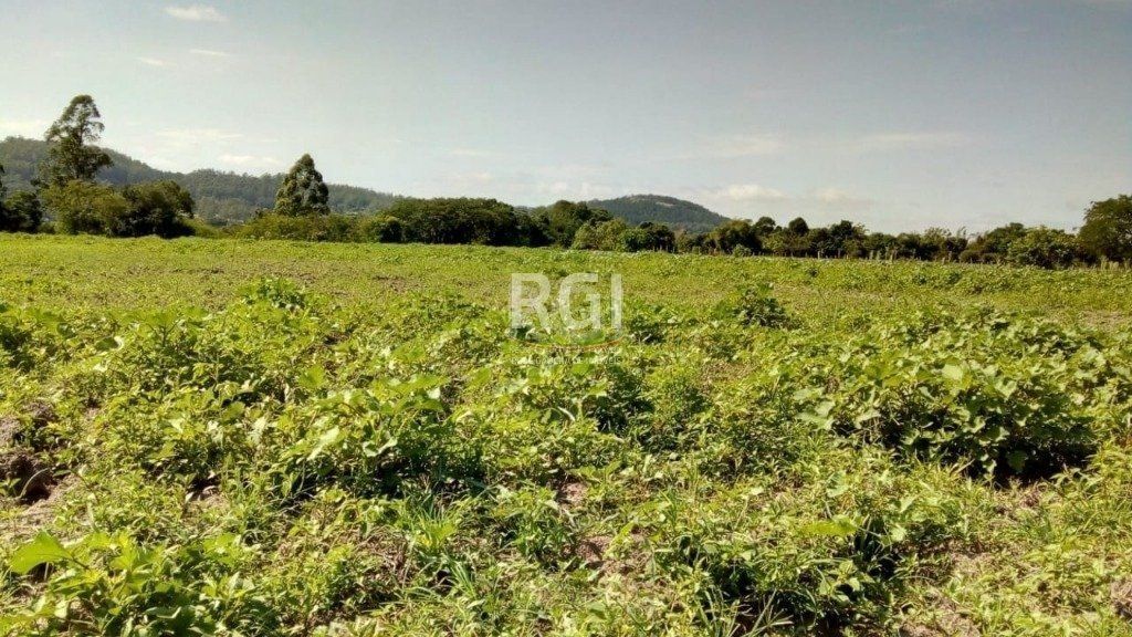 Sítio para Venda - 20060m² Zona Sul Lami — foto 7