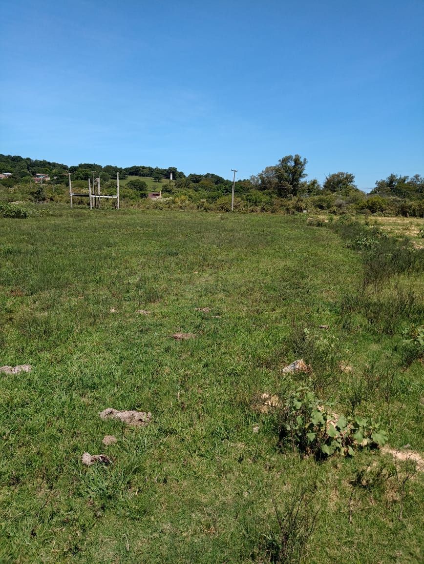 Terreno para sitio ou construção de condominio - Ponta Grossa — foto 3