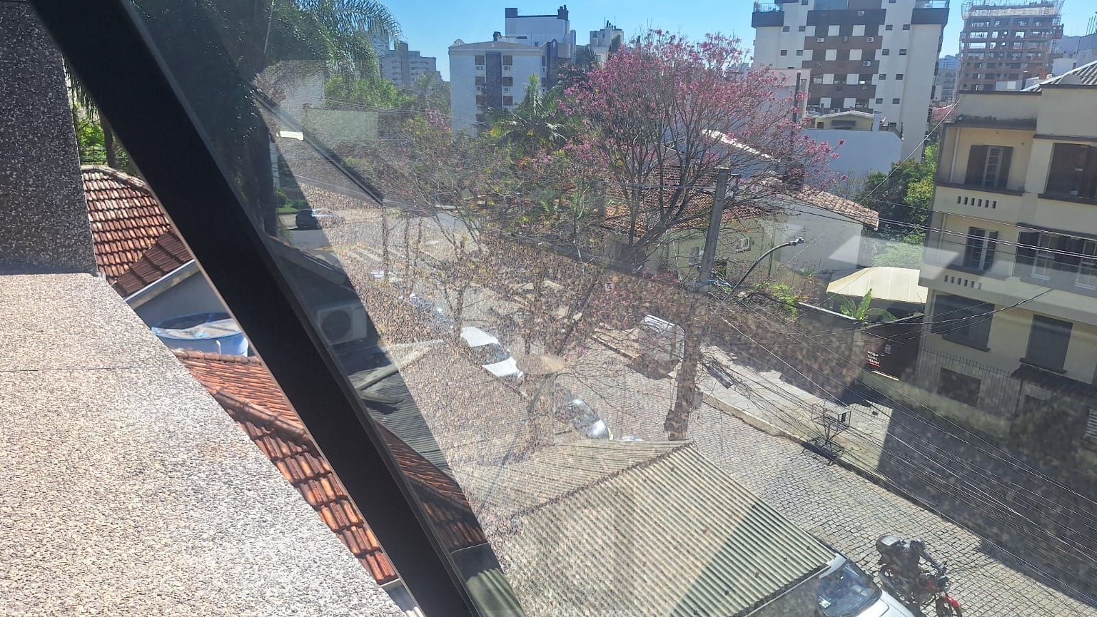 — foto 11