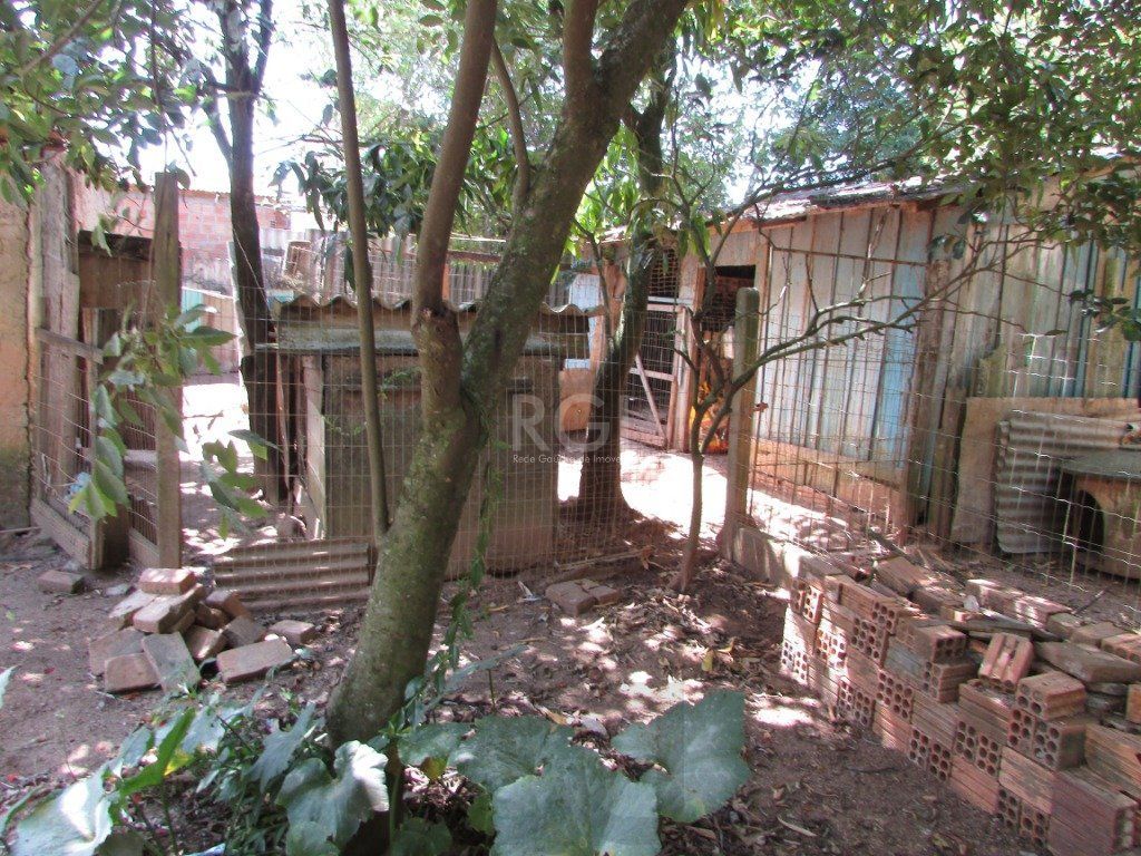 — foto 4