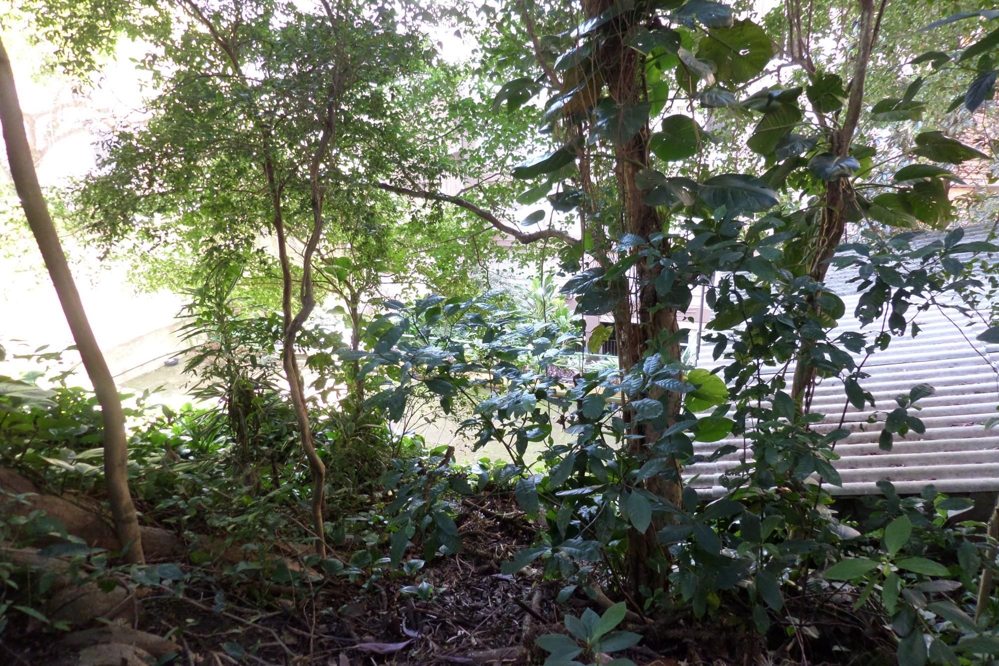 Apartamento no Centro de 2 dormitórios dependência DESOCUPADO — foto 52
