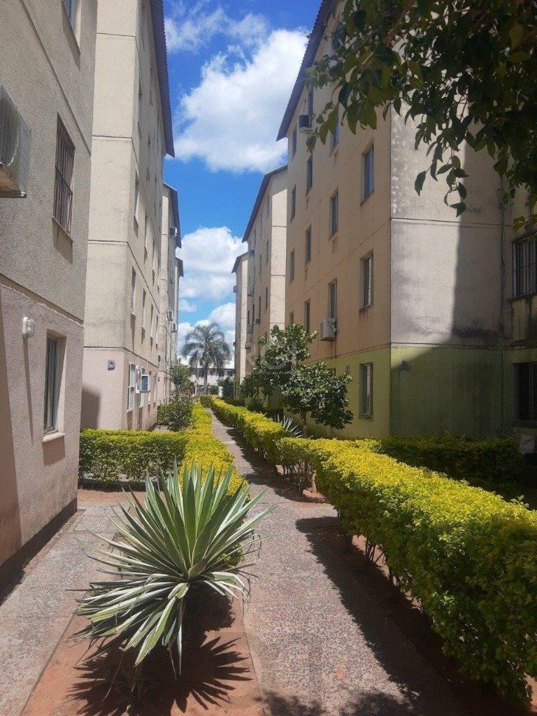 Apartamento de 2 dormitórios e *vaga na Cavalhada — foto 1
