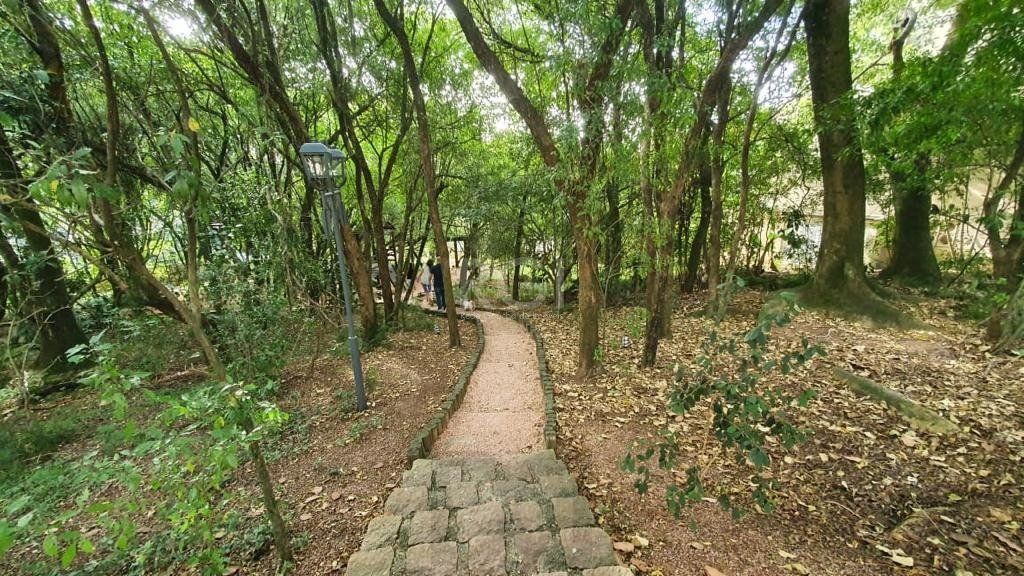 Sobrado no Condomínio Terra Mater — foto 57