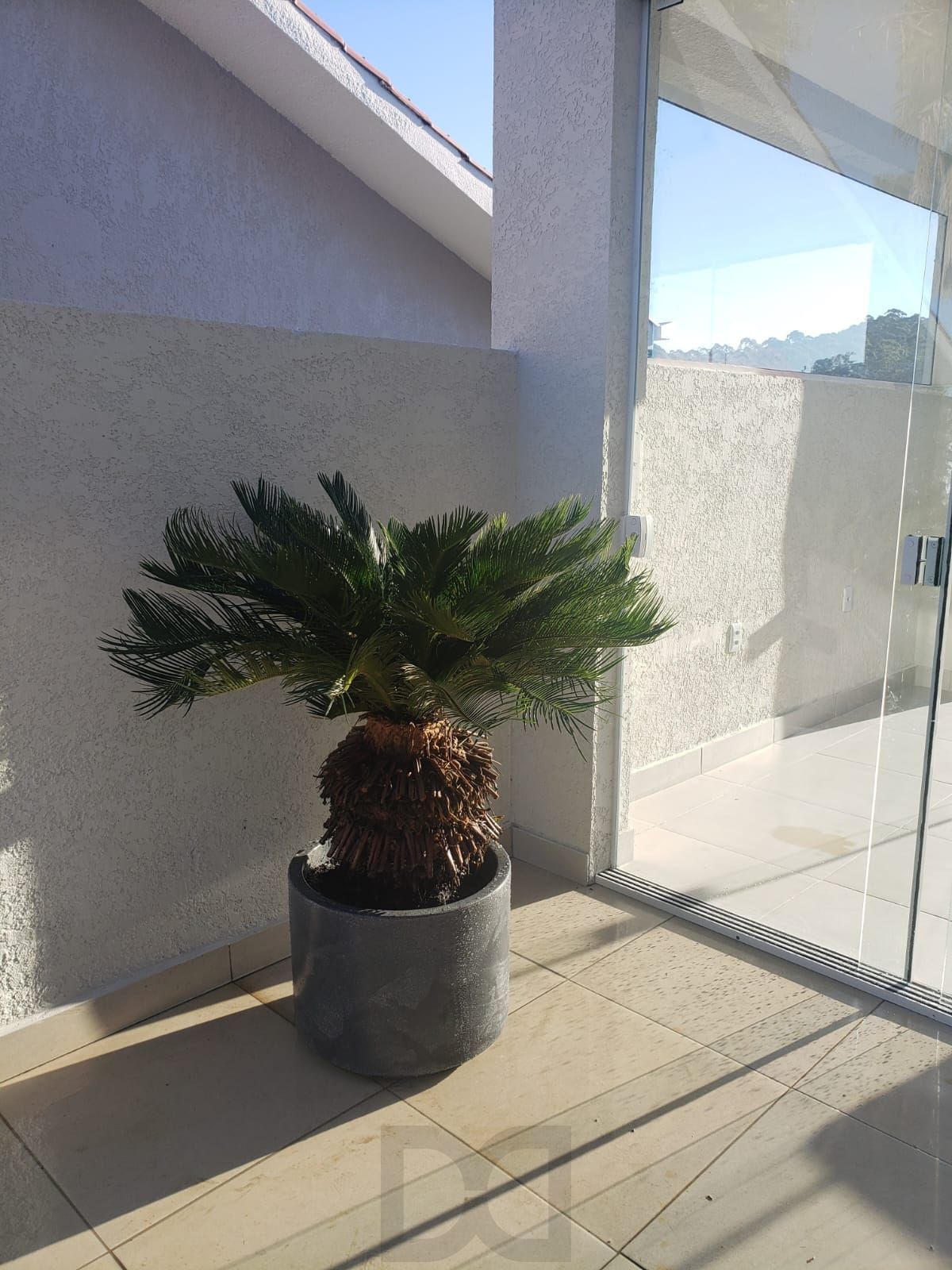 Não deixe de conhecer esta preciosidade na Lomba do Pinheiro — foto 52