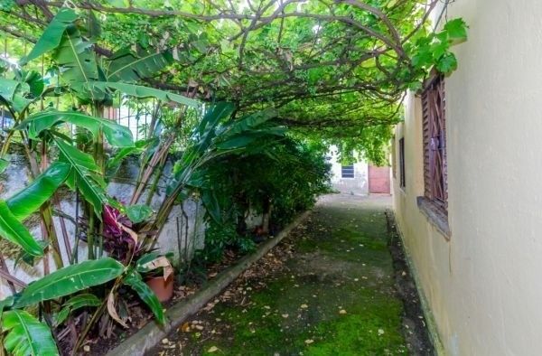 Casa / Terreno com 3 casas de alvenaria no bairro Morro Santana — foto 31
