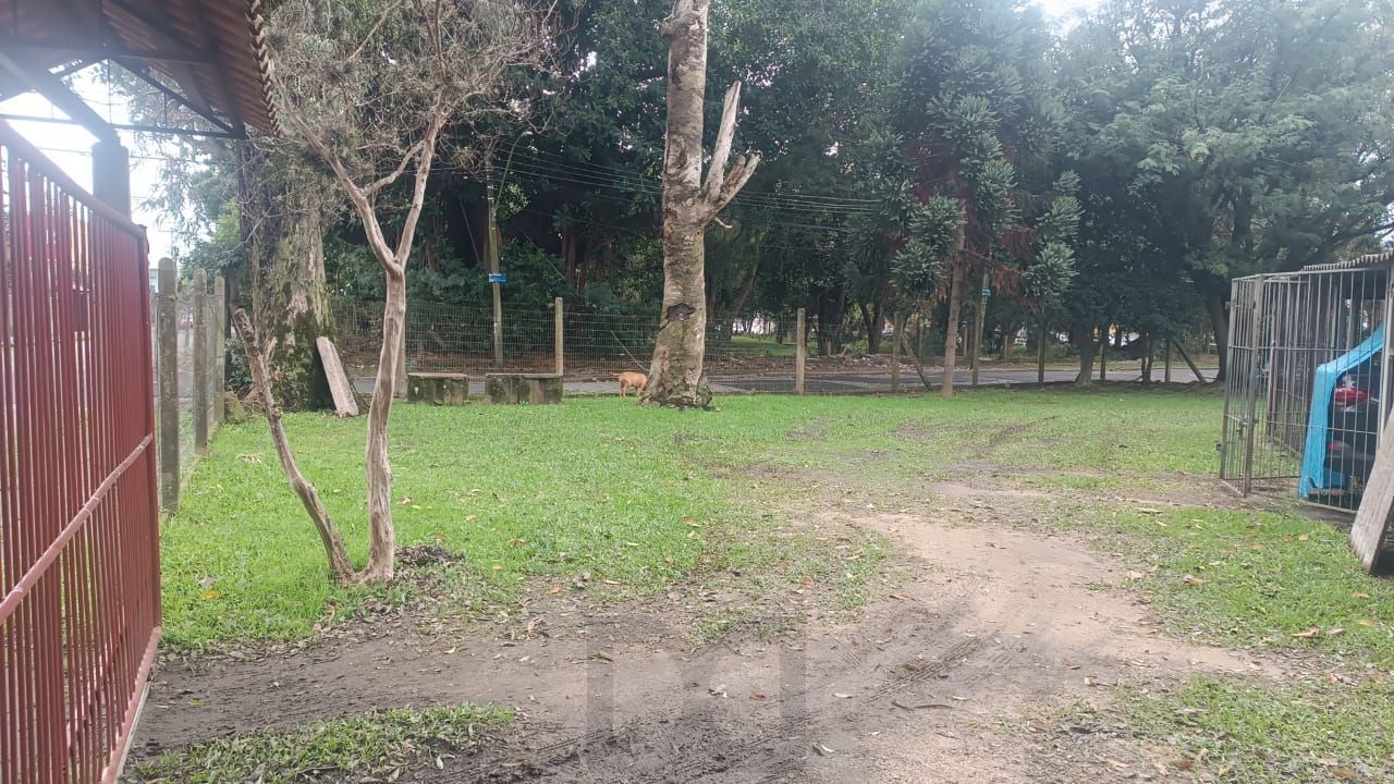 APARTAMENTO 2 DORM PASSO DA AREIA — foto 7